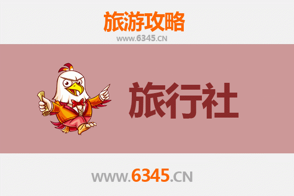 陇南康县本地旅行社推荐：探索陇上江南的完美向导