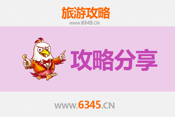陇南康县旅游攻略：跟团与自由行深度解析