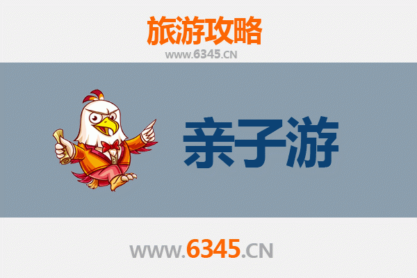 陇南康县亲子游攻略：探索自然与文化的家庭之旅